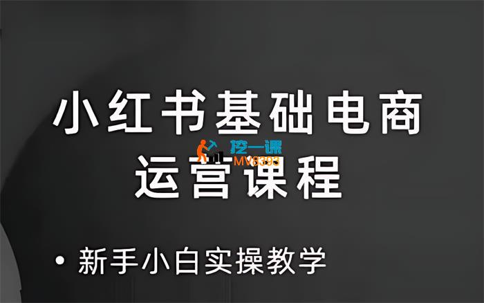 心心《小红书高级电商课程》_封面图.jpg