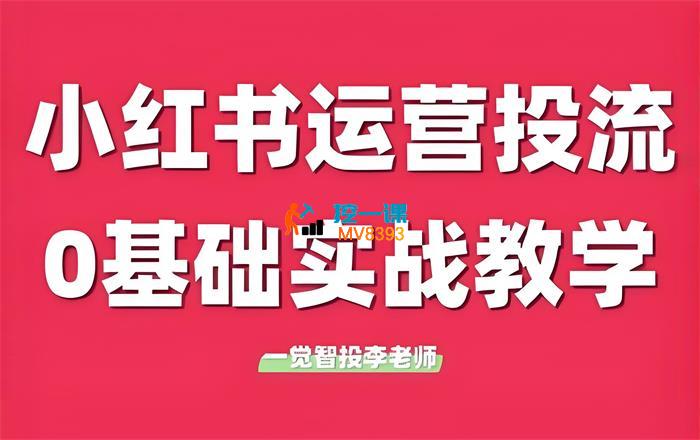 一觉智投李老师《小红书付费投流实战课程》_封面图.jpeg