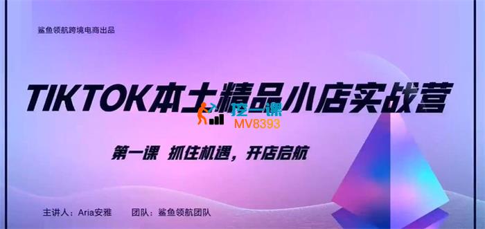 安雅《TikTok本土精品小店出海实战营》