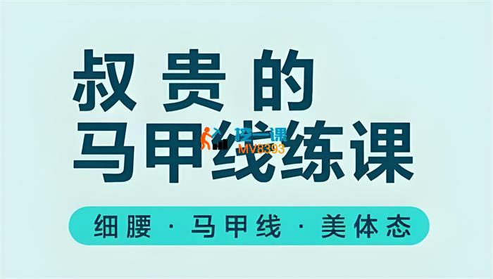叔贵《马甲线训练视频课》