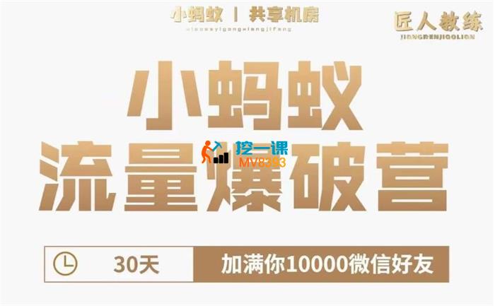 漫老韦《小蚂蚁流量爆破营》
