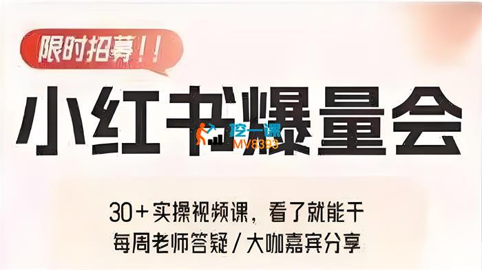 戴小胖《小红书爆量会》_封面图.jpeg