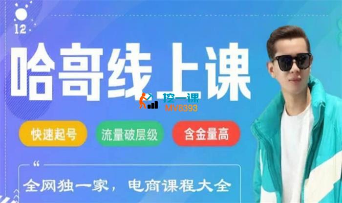 哈哥《2025电商线上课程》