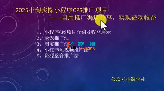 小淘《2025实操小程序CPS推广项目》_封面图.jpg