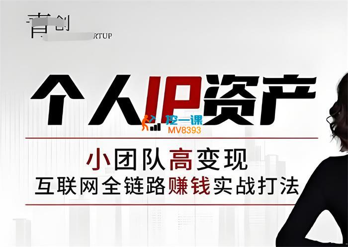 张萌《个人IP资产第一期》_封面图.jpeg