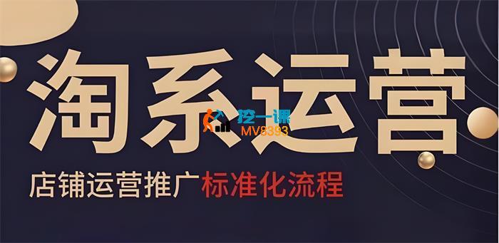 寒冰电商《淘系运营推广标准化流程》_封面图.jpeg