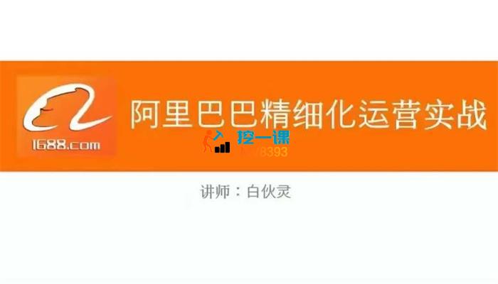 白伙灵《阿里巴巴精细化运营实战课》