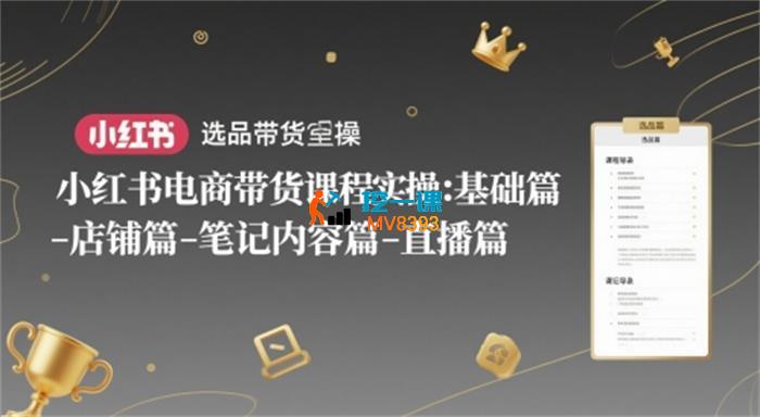 老鲁《小红书电商带货陪跑营》