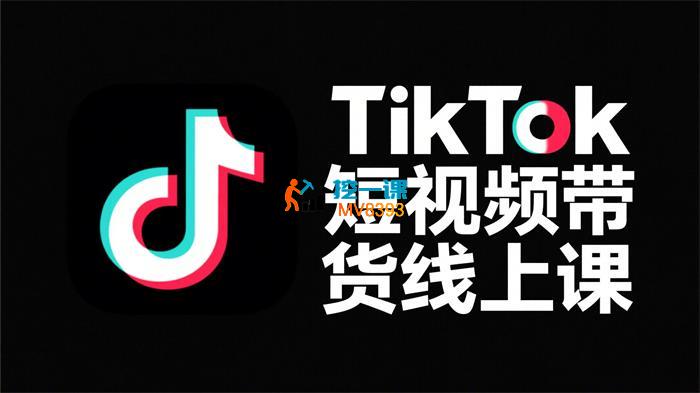 天诺老吴《TikTok短视频带货线上课》