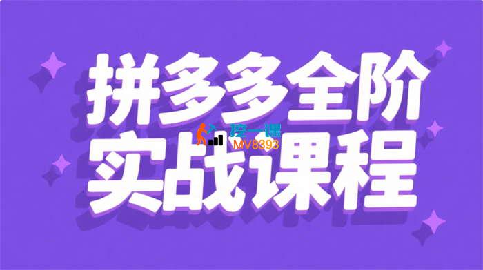 炮炮电商《拼多多全阶实战课程》