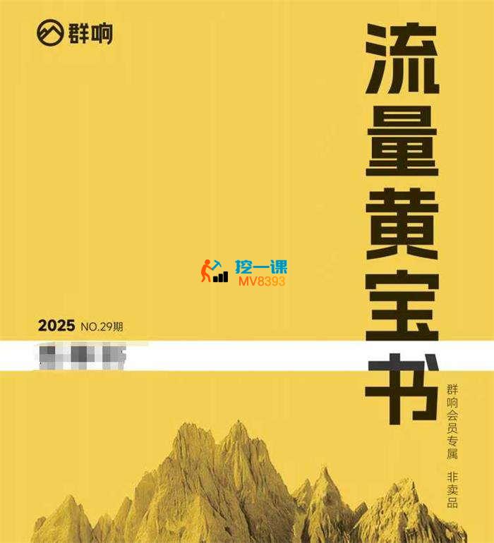 刘老板《群响流量黄宝书25-29期》