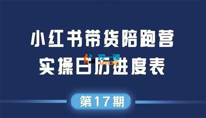 盗坤《小红书第17期带货陪跑营》