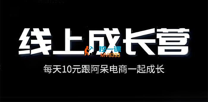 阿呆《电商线上成长营2025年新》