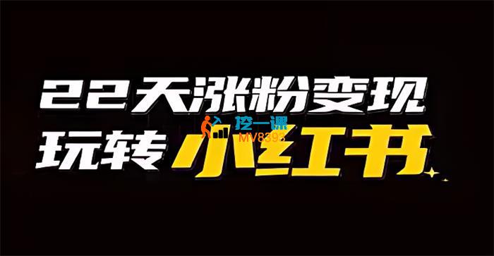 艾老板《小红书涨粉变现训练营》