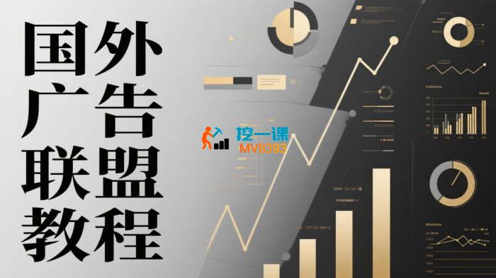 YM《国外广告联盟教程》