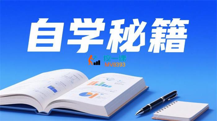 大脸陈《自学秘籍课程》