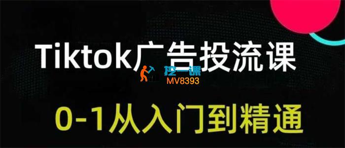 跨境无疆《Tiktok广告投放从入门到精通》