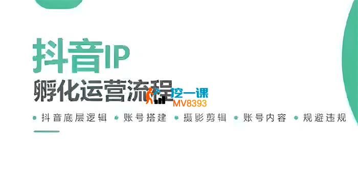 陈家乐《抖音IP孵化运营》_封面图.jpeg