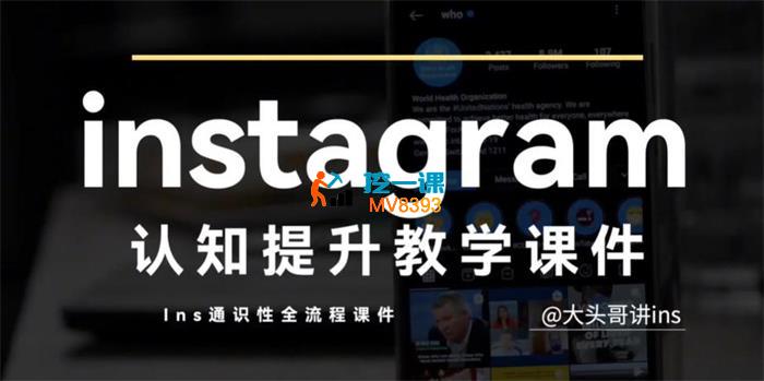 大头哥《Ins跨境出海训练营》_封面图.jpg
