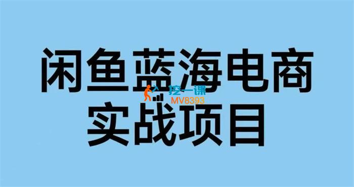 大飞《闲鱼蓝海电商实战》_封面图.jpg