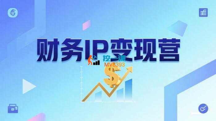 有有《财务IP变现营》
