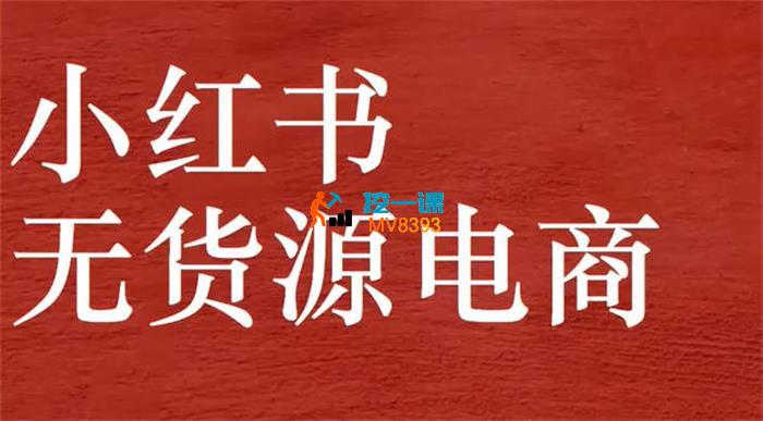 柚柚《小红书无货源电商》