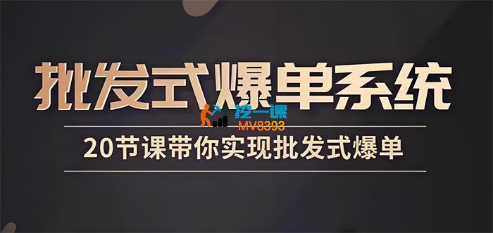珊珊《批发式爆单陪跑营》