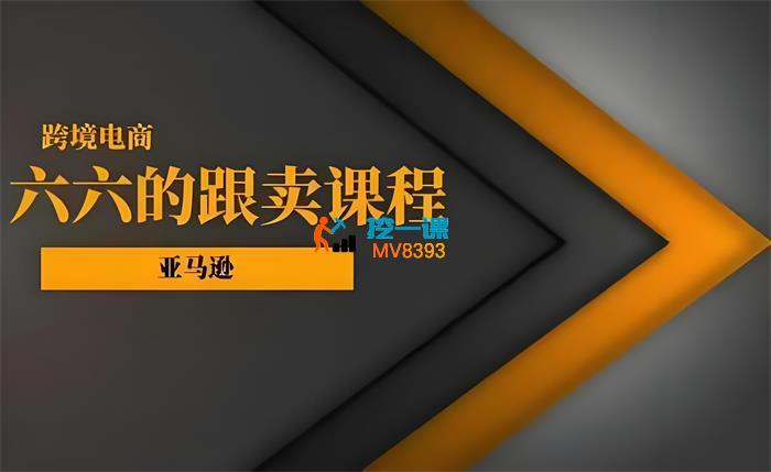 六六《亚马逊跟卖实战课》