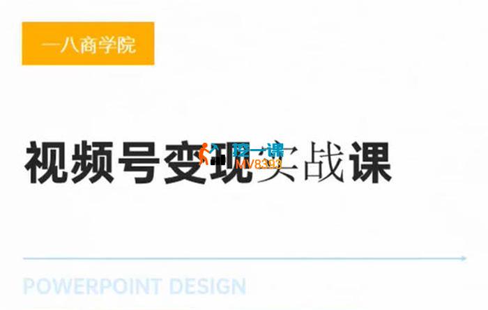 杨老师《视频号变现实战课》