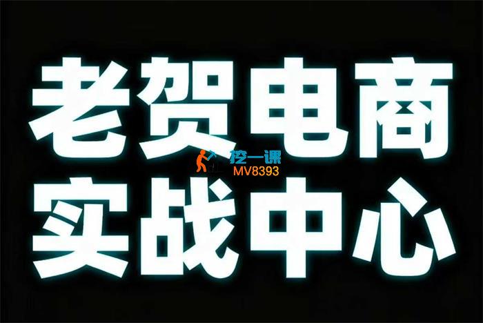 老贺电商《2025年拼多多付费课程》