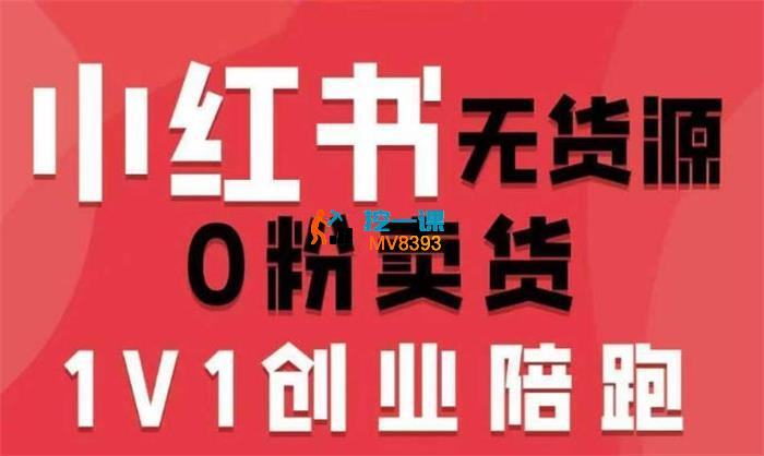 爱野佩佩《小红书0粉卖货电商课》
