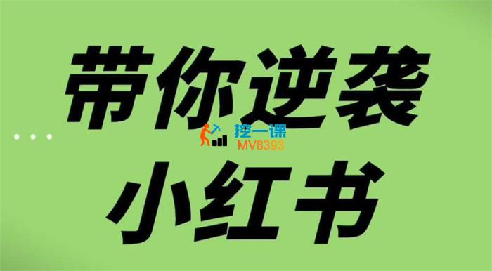 老夏《带你逆袭小红书》