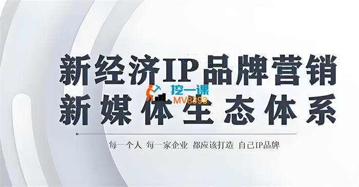 雨林《新经济IP品牌营销方法论》