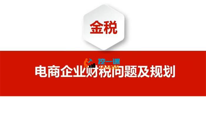 金税《电商企业财税问题及规划》