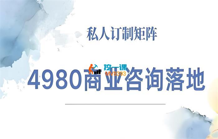 王媛媛《4980商业咨询师落地课程》