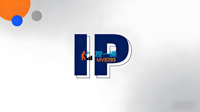 三言《IP合伙人计划实战训练》