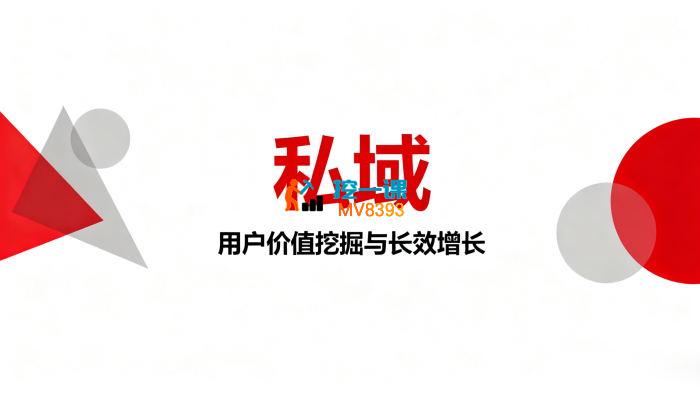 万磊《成人私域实战课》