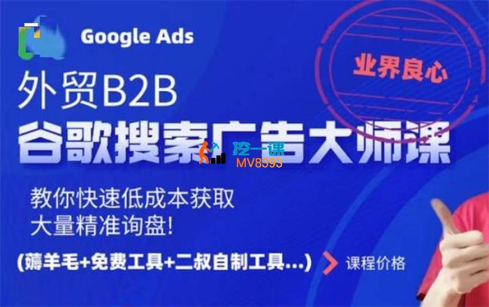 二叔《外贸B2B谷歌搜索广告大师课》
