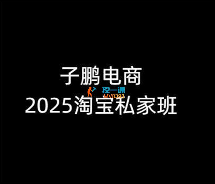 子鹏讲电商《淘宝私家班25年12月》