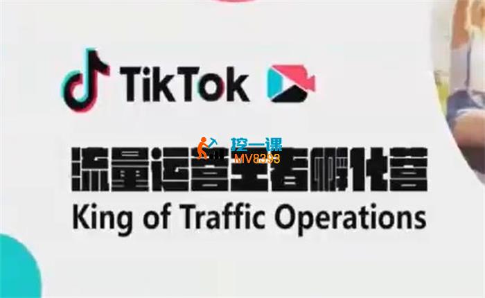 胡老师《TikTok流量运管王者孵化营》 