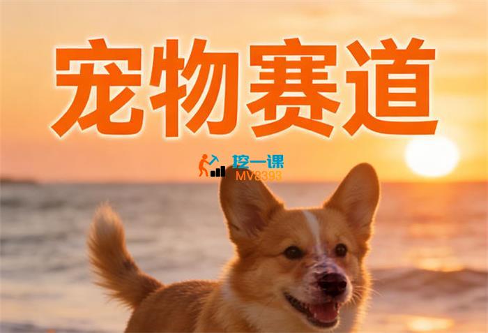 东哥《宠物赛道精选课程》