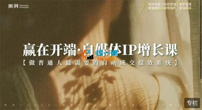 赢在开端《自媒体IP增长课》