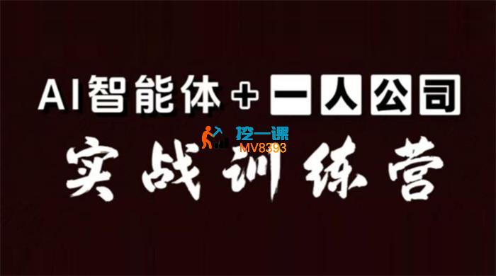 徐SIR《AI智能体+一人公司实战训练营》