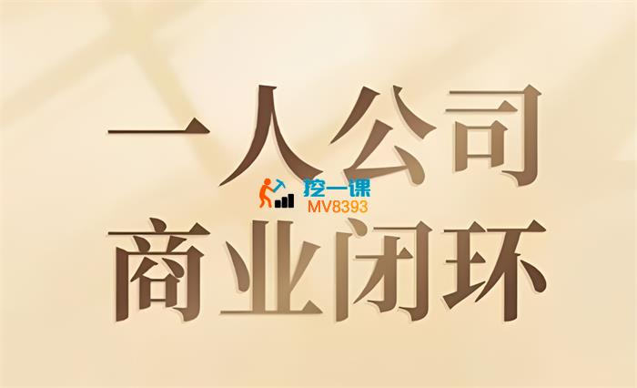 鲁细细《一人公司商业闭环》