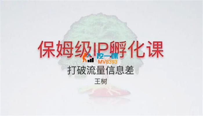 王树《保姆级IP孵化课2.0》