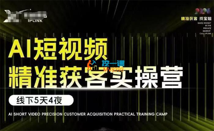 宝儿姐《AI短视频精准获客实操营6月10-14号线下课》